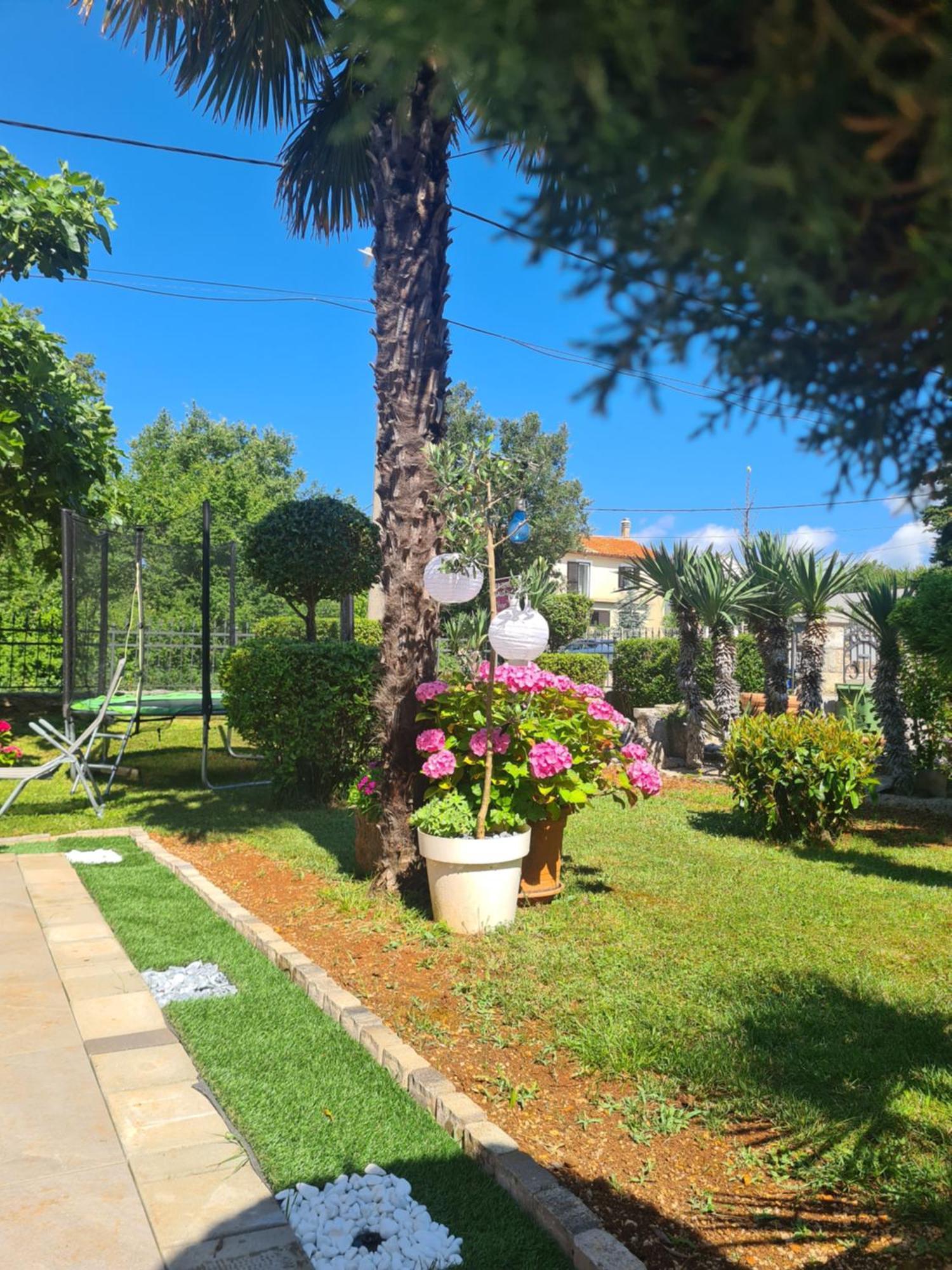 מאלינסקה Apartment Marangunija מראה חיצוני תמונה